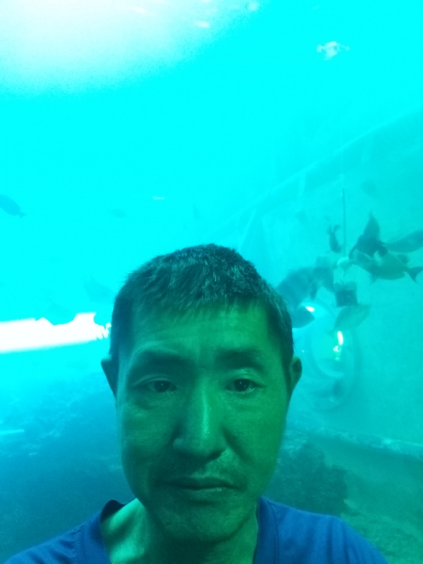 陸戰隊的第一张照片--新北中老年相亲网